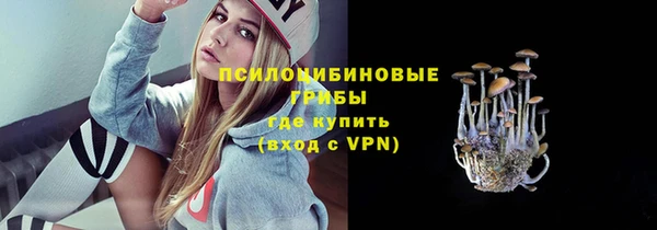 ГАЛЛЮЦИНОГЕННЫЕ ГРИБЫ Балахна