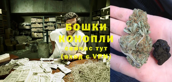 ГАЛЛЮЦИНОГЕННЫЕ ГРИБЫ Балахна