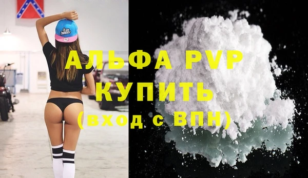 прущие крисы Белокуриха
