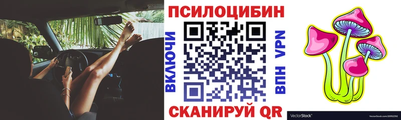 KRAKEN ТОР  Тулун  Псилоцибиновые грибы Psilocybine cubensis 
